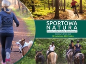 Konkurs dla klubów sportowych