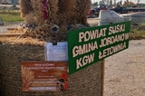  Gmina Jordanów
